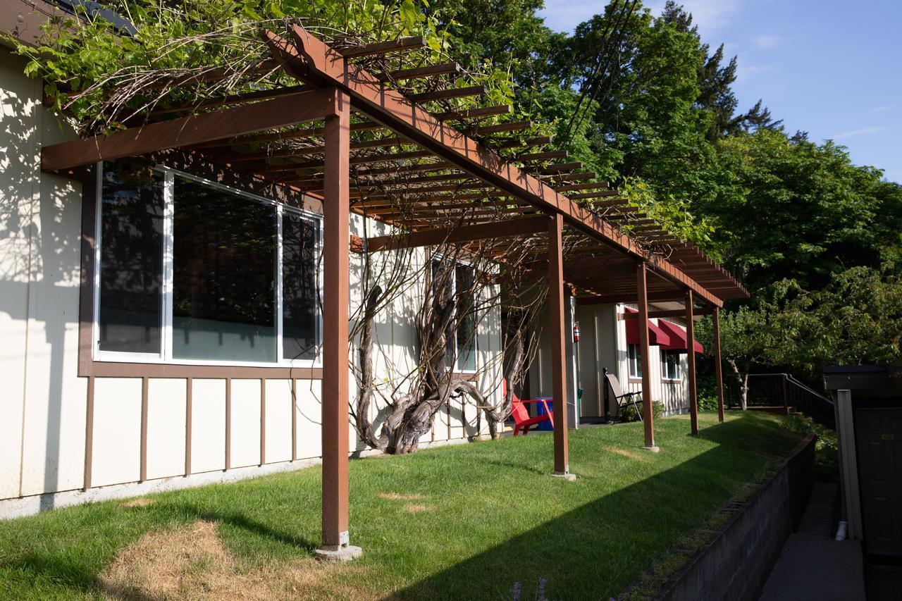 Motel Cherry Tree