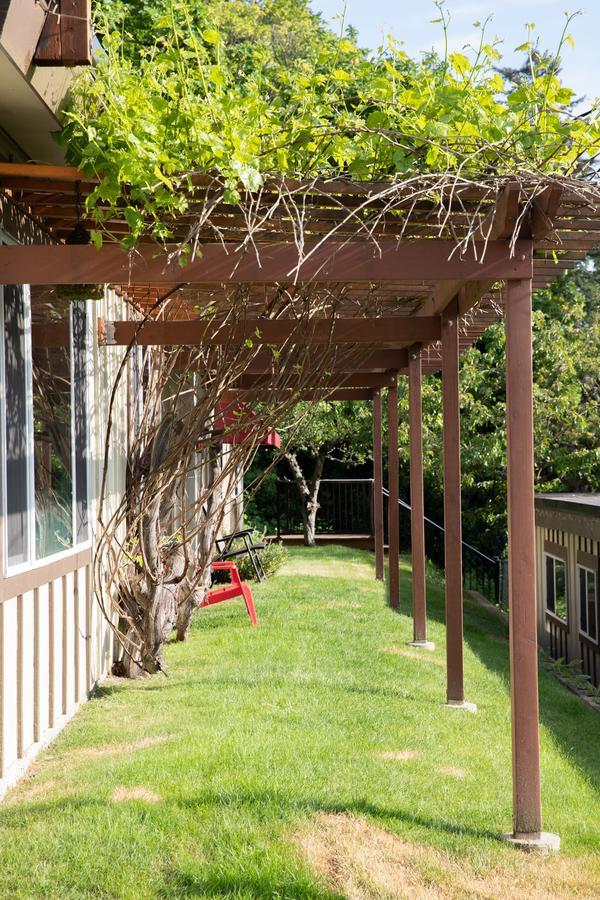Cherry Tree Motel